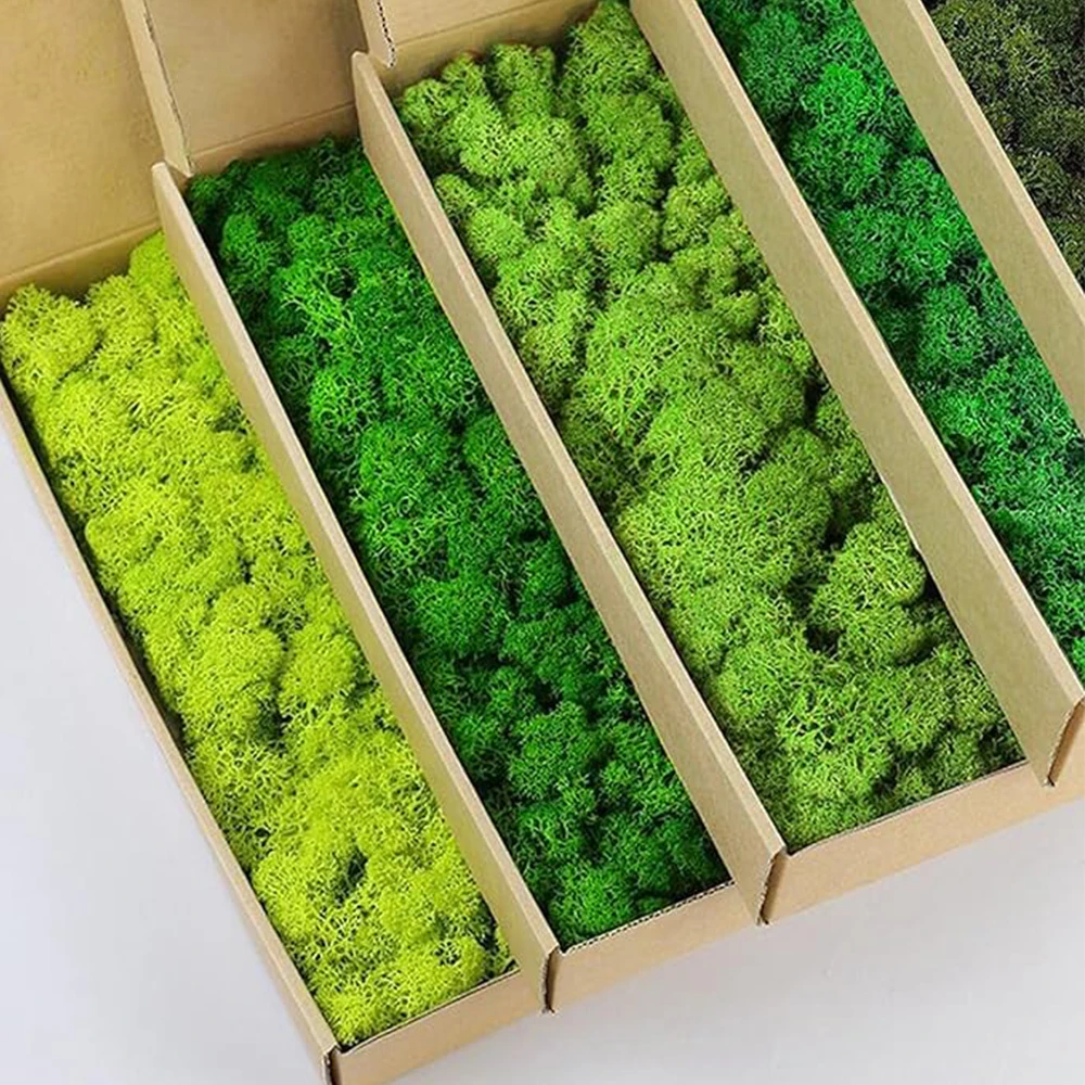 20-200g plantas verdes artific - Sphagnum Moss Dry avaliação e preço