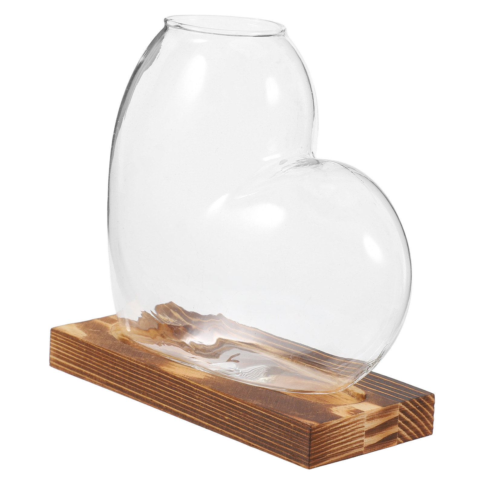 Vaso de vidro para hidroponia, - Propagation Station Vase avaliação e preço