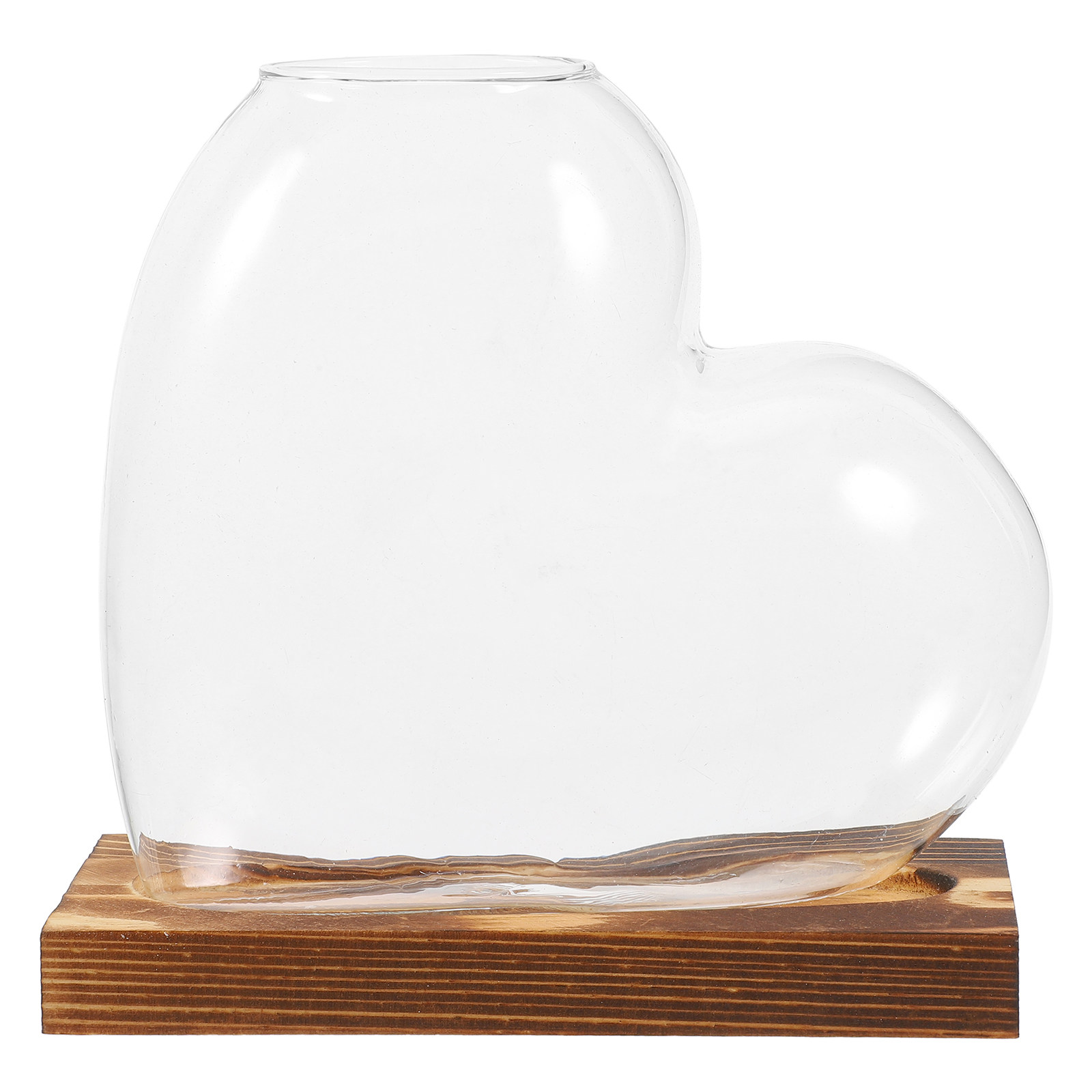 Vaso de vidro para hidroponia, - Propagation Station Vase avaliação e preço
