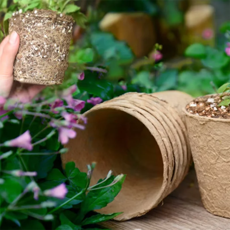50 Unidades Vasos Redondos de  - Peat Pellet Tray avaliação e preço