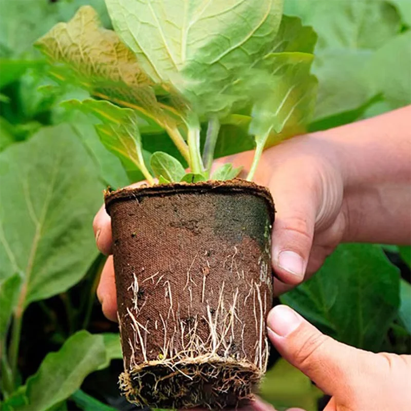 50 Unidades Vasos Redondos de  - Peat Pellet Tray avaliação e preço